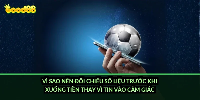 Vì sao nên đối chiếu số liệu trước khi xuống tiền thay vì tin vào cảm giác?